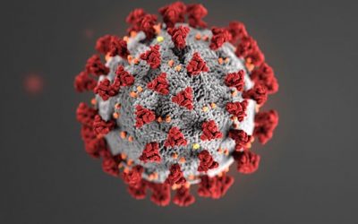 COVID-19 (Coronavirus) Preparedness