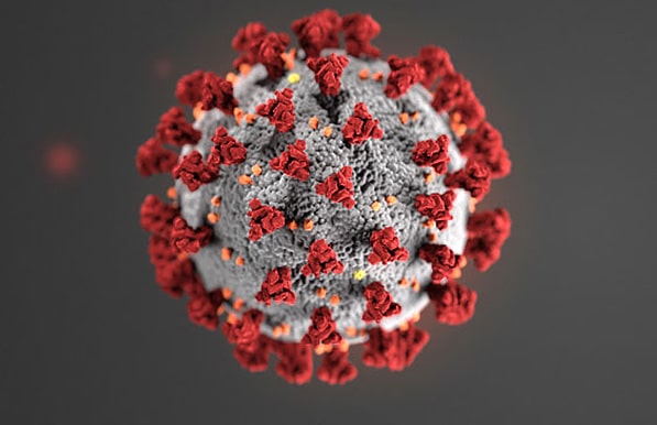 Coronavirus Covid 19